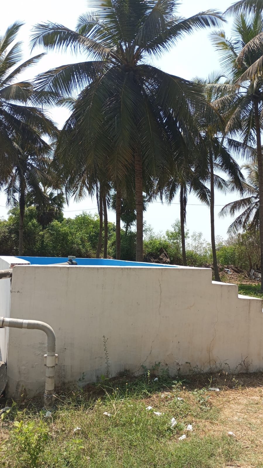 Siesta Inn Lake View property photo